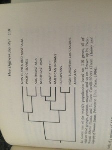 A genetic tree created from page 119 of L.L. Cavalli-Sforza's book "The Great Human Diasporas"