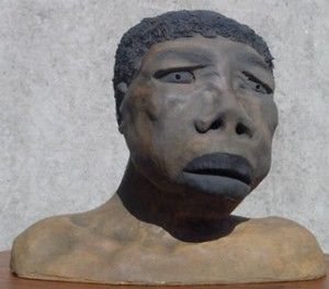 The genetic IQ of Bushmen | Pumpkin Person