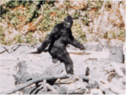 bigfoot
