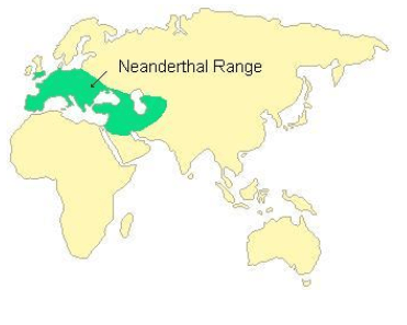 rrneanderthal